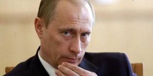 Putin not for an Immediate War